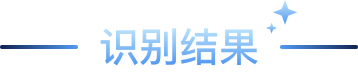 识别结果